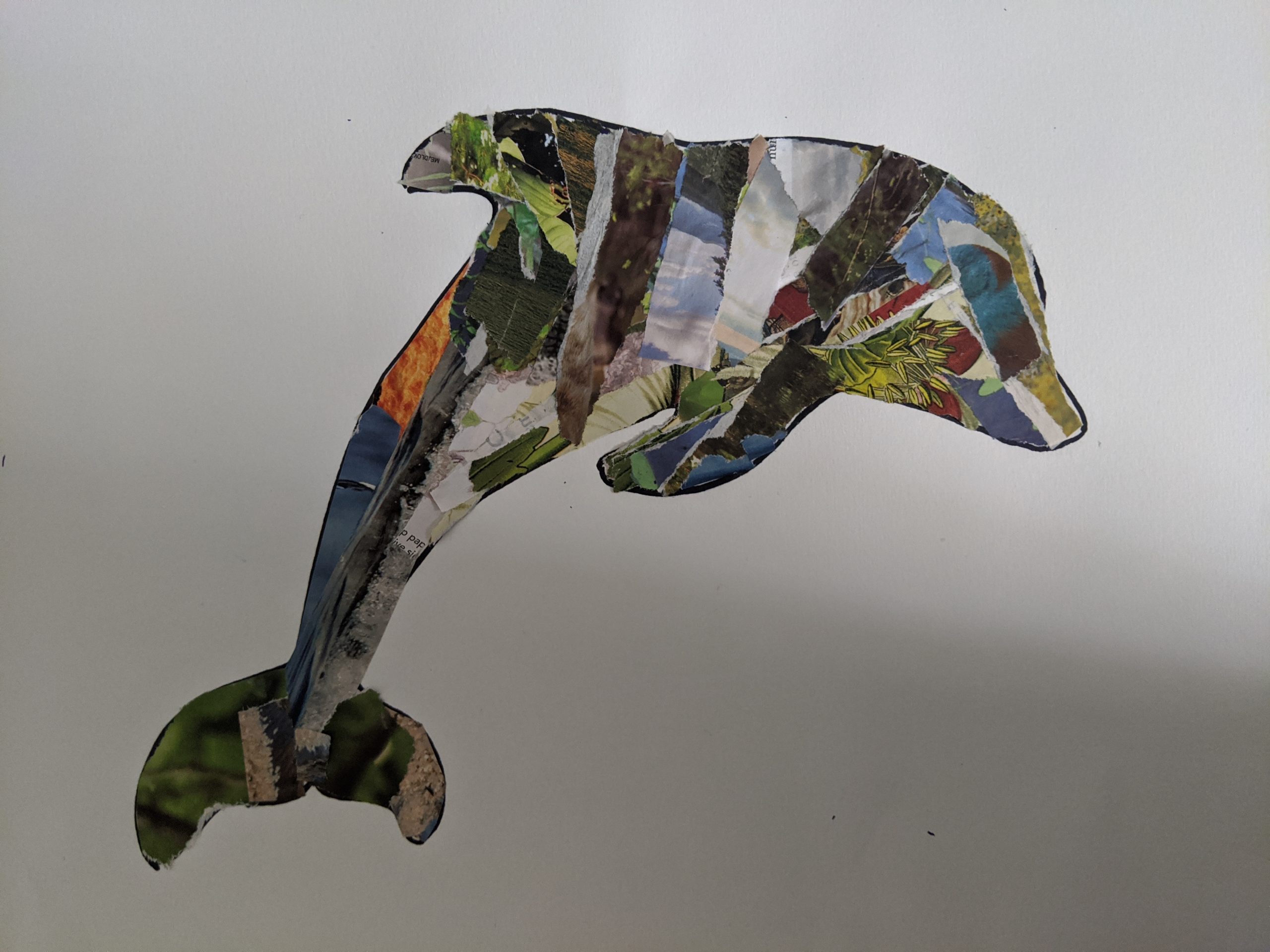 Art Activity | Endangered Animal Collages – Halsey Institute of  Contemporary Art